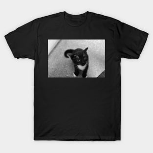 Sox T-Shirt